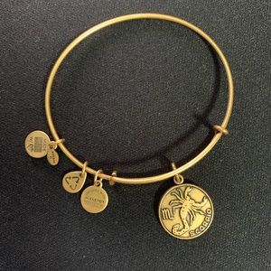 Alex and Ani Scorpio bracelet ♏️